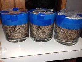 20170402_120535.jpg
