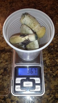 20170404_005237.jpg