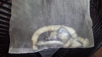 20170404_005511.jpg