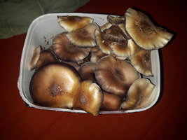 20170326_215651.jpg