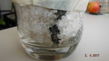 DSCF3416.JPG