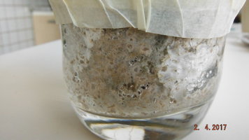 DSCF3415.JPG