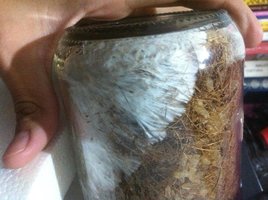 foto 1.JPG