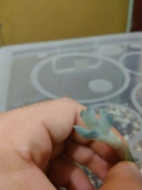shroom_16.jpg