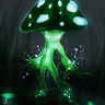 DarkShroom