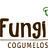 Gui_Fungilí