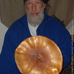 amanita-mushroom-redangels-09.jpg