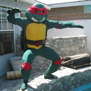Ninja_Turtle.JPG