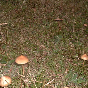DSCF2756.JPG
