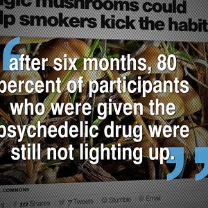 Cogumelos Mágicos ajudam a combater o tabagismo