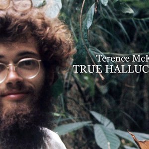Terence McKenna's True Hallucinations Full Movie
