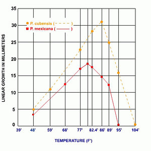 temperatura na taxa de crescimento do micélio
