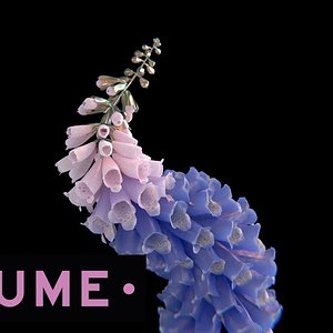 Flume - Tiny Cities (feat. Beck)