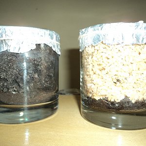 humos e vermiculita - arroz integral com humos.jpg