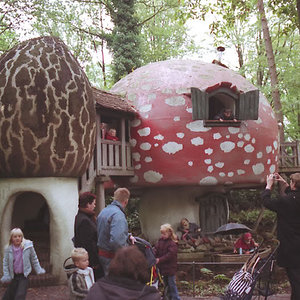 Mushroom_house_2.jpg