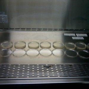 2012-12-26 10.36.39.jpg