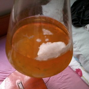 2013-01-03 15.31.59.jpg