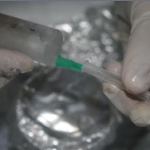 inoculacao 009.jpg