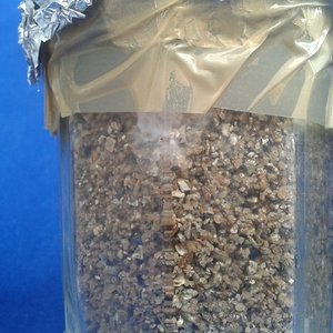 2013-03-28 11.35.18.jpg