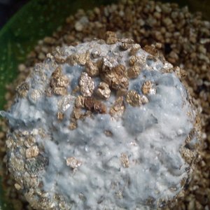 2013-04-10 14.44.16.jpg