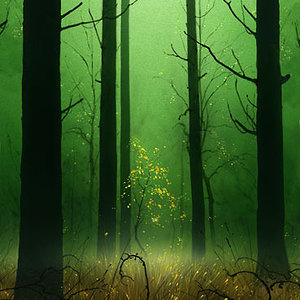 forests-and-trees.unhinged-forest.jpg