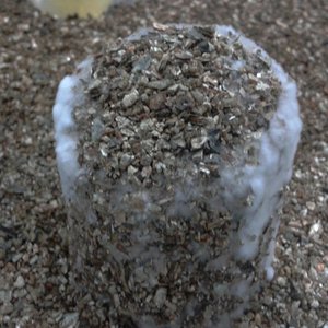 2013-04-26 09.30.07.jpg