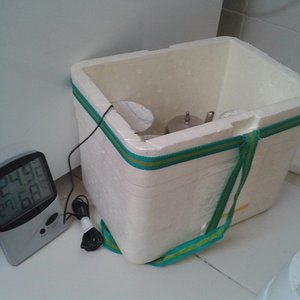 2013-04-27 14.16.41.jpg