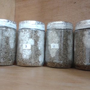 2013-04-29 08.21.38.jpg