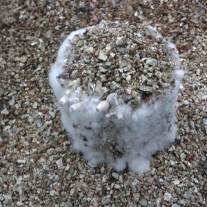 2013-04-29 08.08.21.jpg