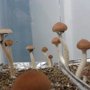 2013-08-15 21.40.06.jpg