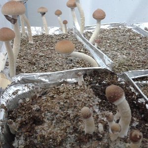 2013-08-15 21.46.57.jpg