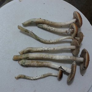 2013-08-16 18.34.53.jpg