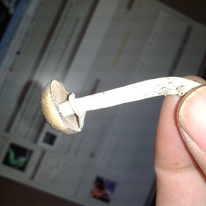 2013-08-17 15.24.47.jpg