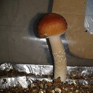 2013-08-17 17.33.23.jpg