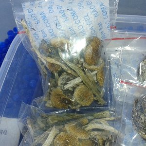 2013-08-20 15.09.07.jpg