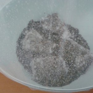 2013-08-21 08.53.29.jpg