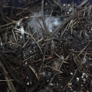 2013-08-21 08.55.40.jpg