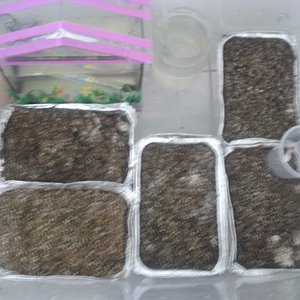 2013-08-21 08.57.34.jpg