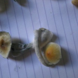 2013-08-19 15.38.19.jpg