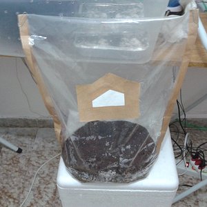 2013-08-21 18.33.45.jpg