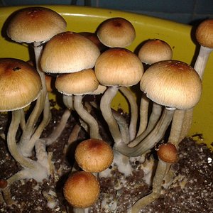 2013-05-25 21.41.07.jpg