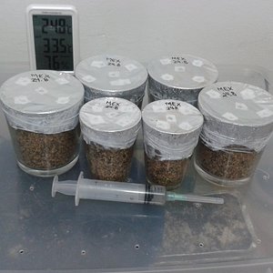 2013-08-24 14.23.12.jpg