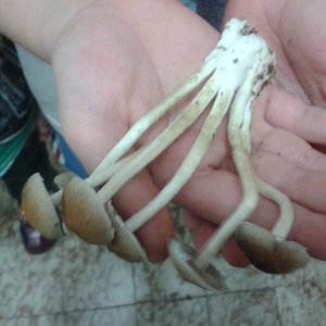 2013-08-25 17.32.25.jpg