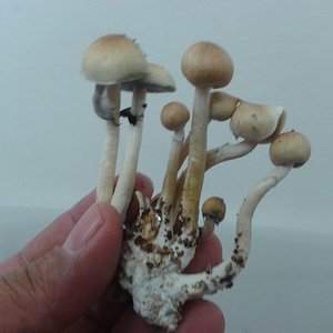 2013-08-27 12.03.58.jpg