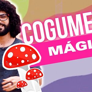 Cogumelos Mágicos, o "Alimento dos Deuses" - Que Droga é Essa? #12