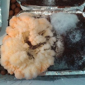 2013-03-16 12.43.50.jpg