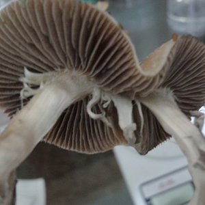 2013-06-19 22.08.04.jpg