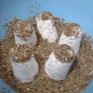 2013-09-25 15.06.00.jpg