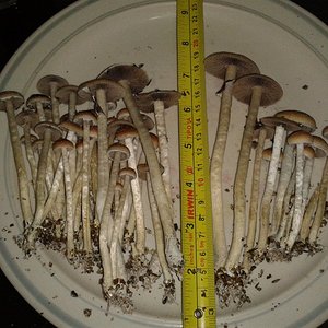 2013-06-15 18.16.52.jpg