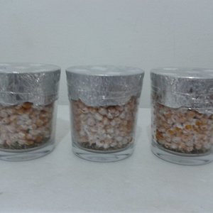 2013-09-25 14.02.03.jpg